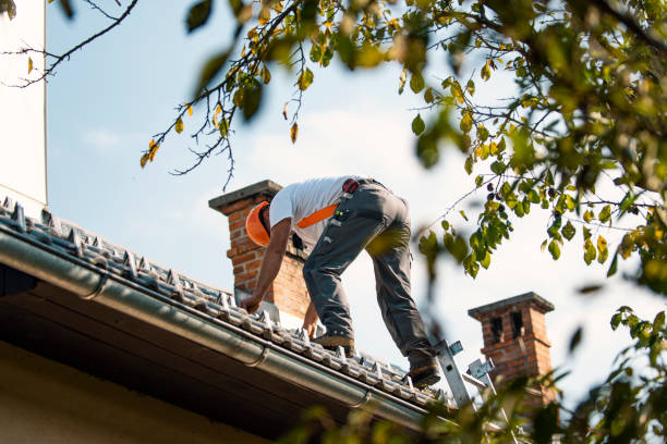 Best Tile Roofing Contractor  in Bazon, CA