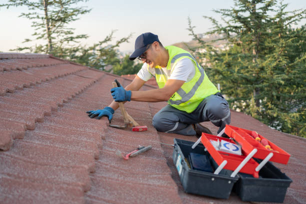 Best Roof Gutter Cleaning  in Bazon, CA